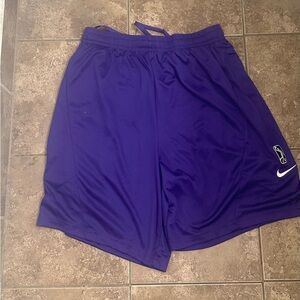 Nike South Bay lakers shorts men’s jersey